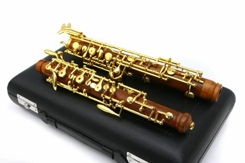 Professional oboe nice - professional,